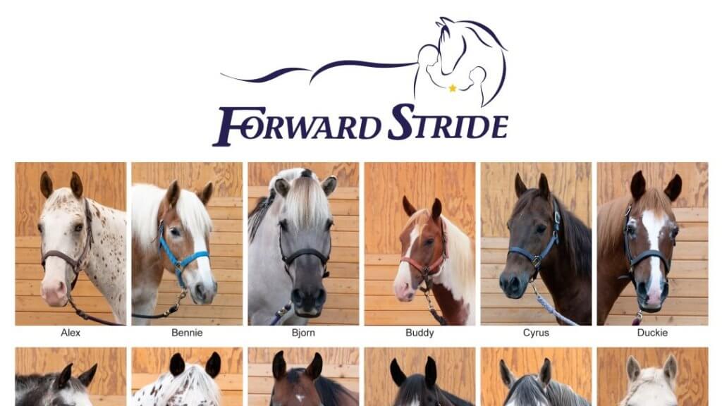 Forward Stride Herd Posters For Sale - Oregon Horse Council